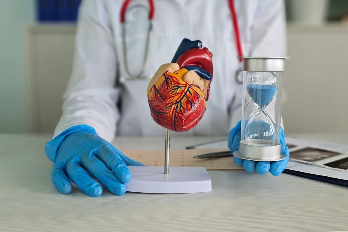 medic cardiolog cu mulaj inima