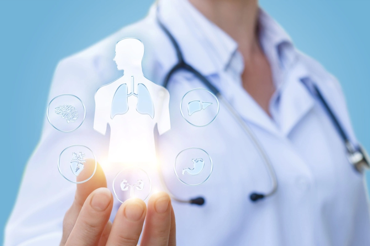 Medic aratand imagini ale organelor interne umane